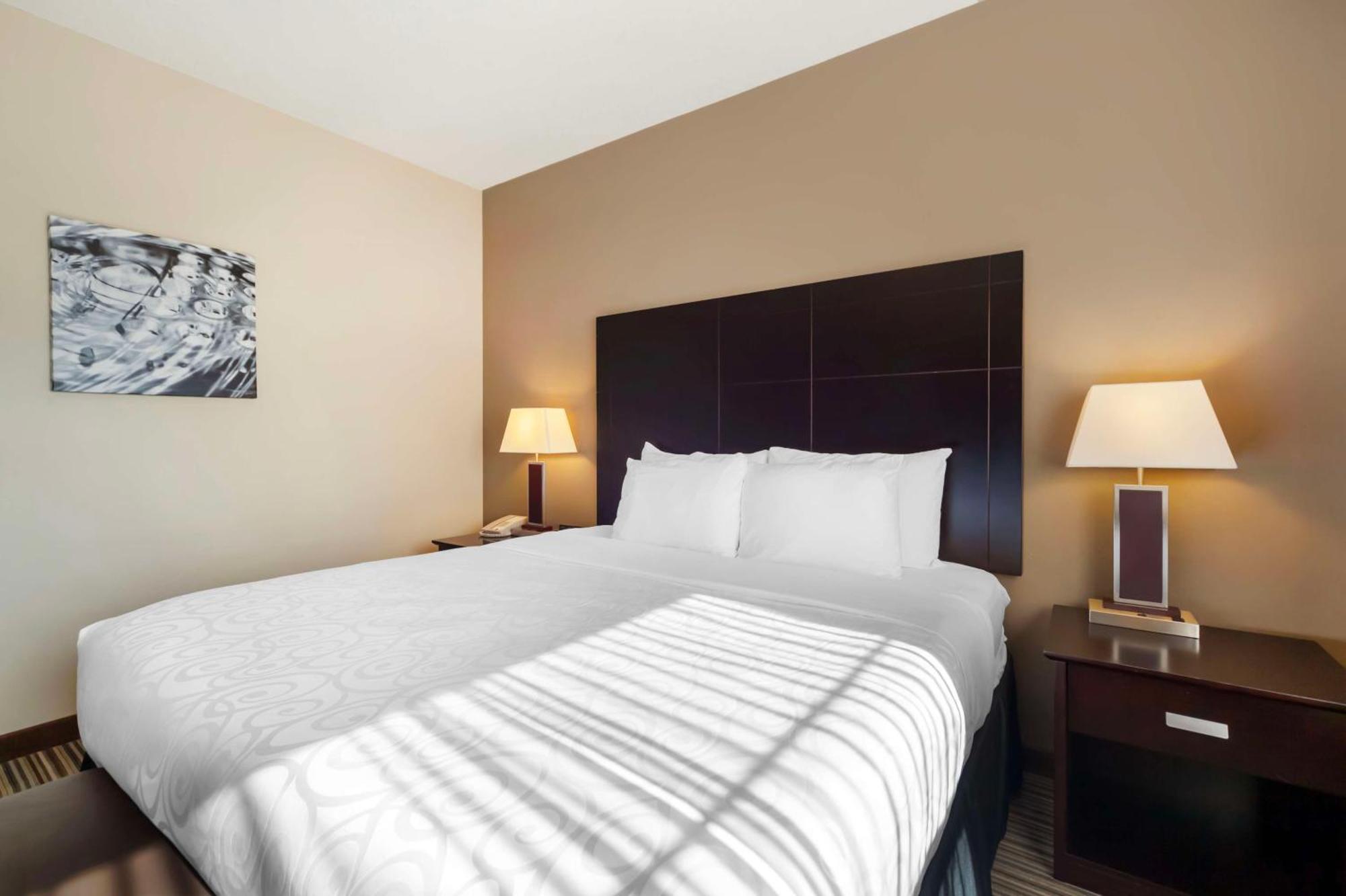 Best Western Plus Peace River Hotel & Suites Exterior foto